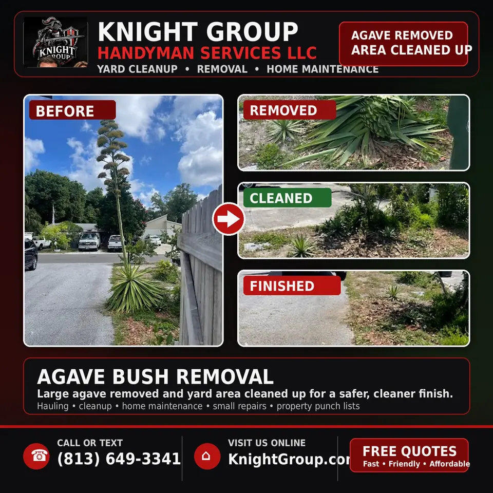 Large agave cut down and the yard cleaned — before, process, and finished site from a Knight Group job in Pinellas County