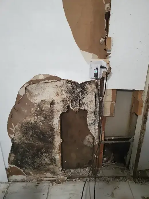 Mold-stained interior wall before correction — Knight Group documents the condition in Pinellas County