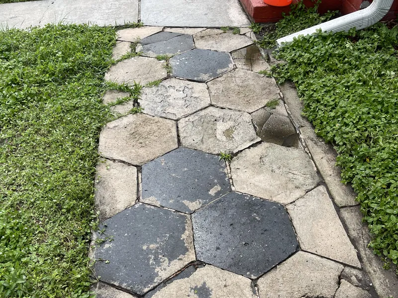 Example walkway photograph used to illustrate a Home Watch report
