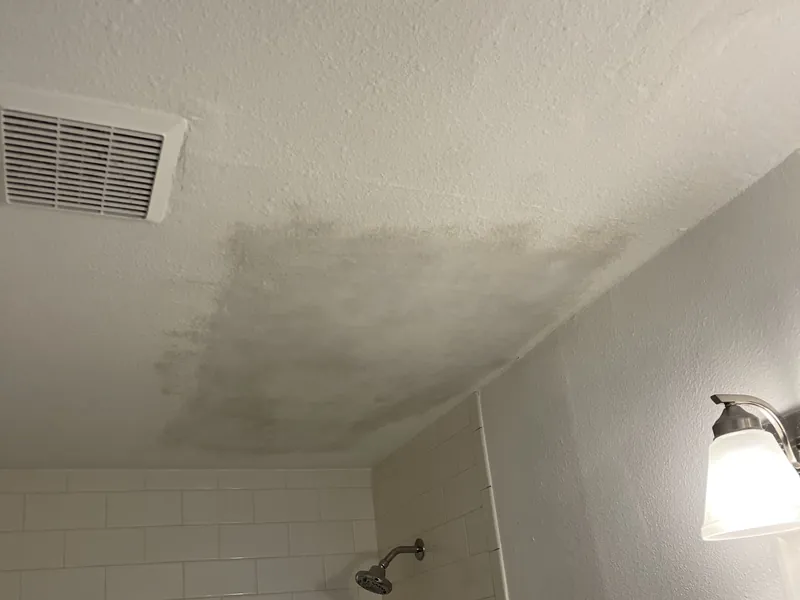Water damage repair