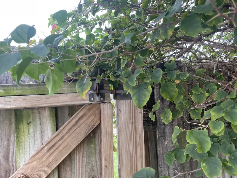 Example entry and gate photograph used to illustrate a Home Watch report