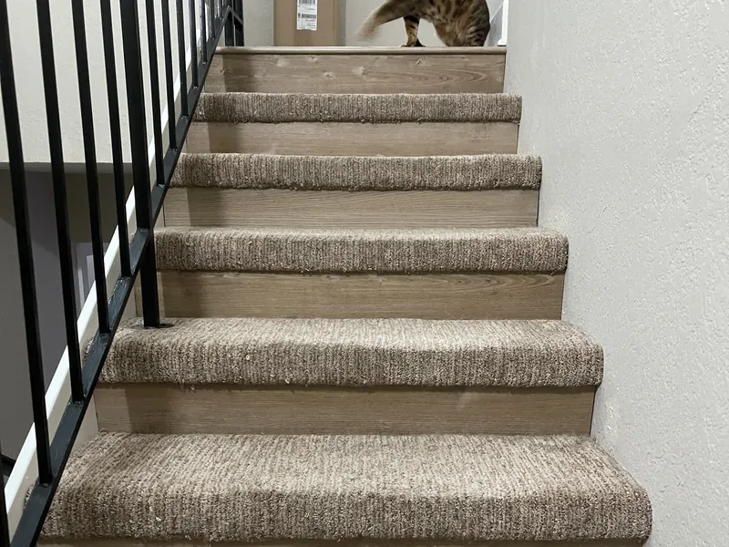 Stair Carpet and