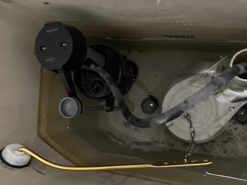 Toilet Check